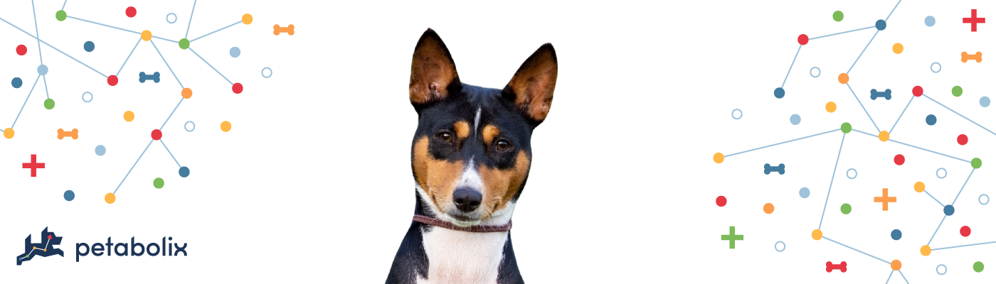 Toy Fox Terrier image