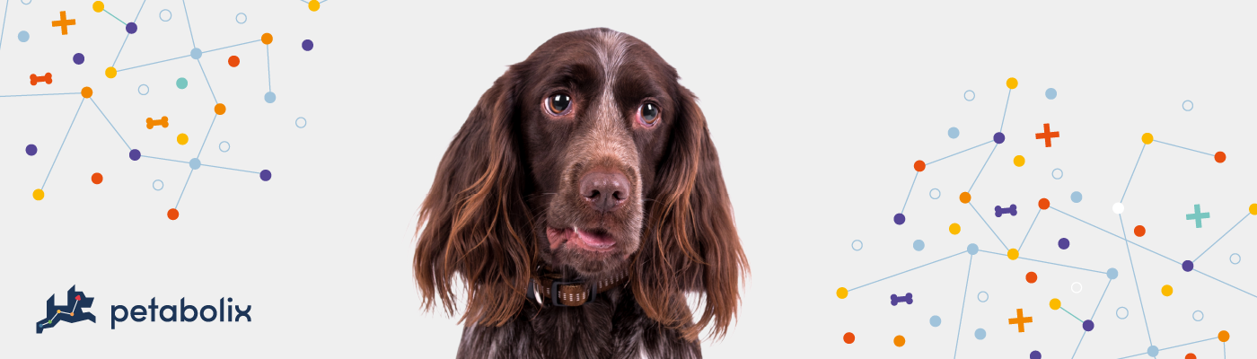 Field Spaniel image