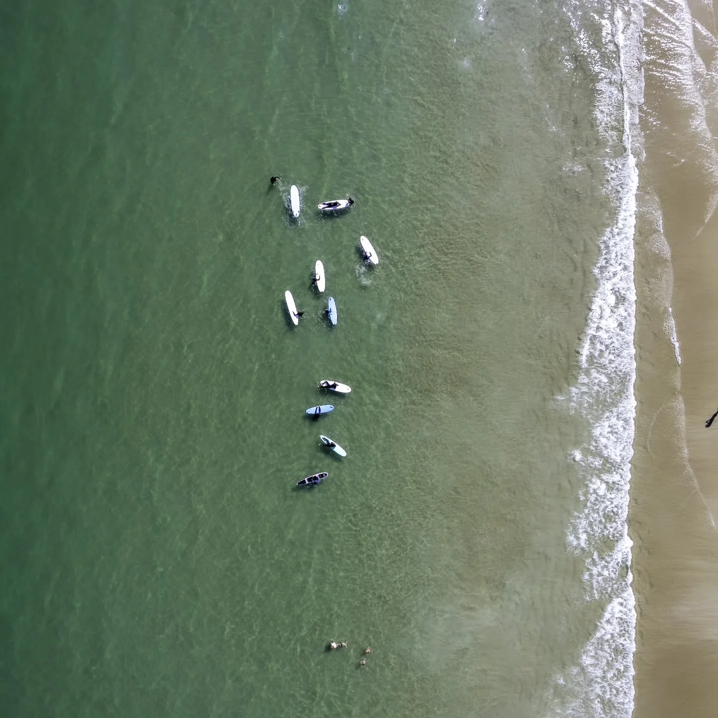 ☀️ Summer. Is. Coming. ☀️ 

Kids paddle + surf programs are pretty much HALF full already! Grab your spots to secure an awesome week of surfing, paddling, and exploring. 

This full-week program is for kids 11-15 because there is a LOT of on/in-water
