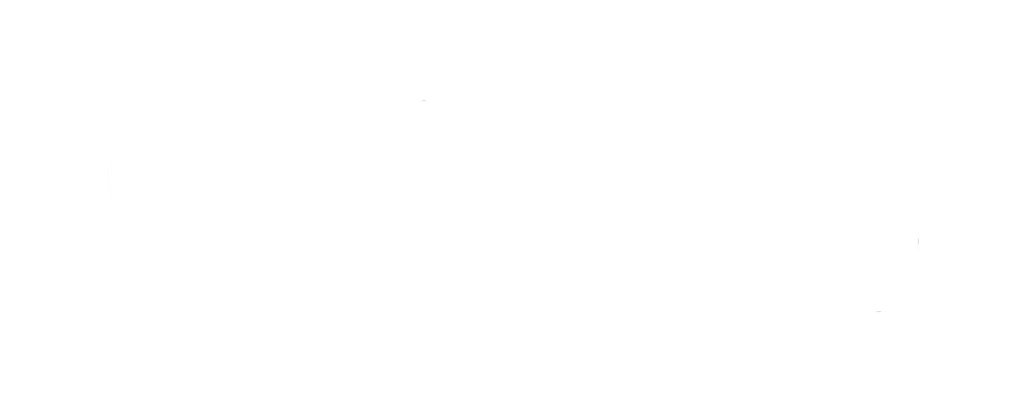 Motion Bros NZ