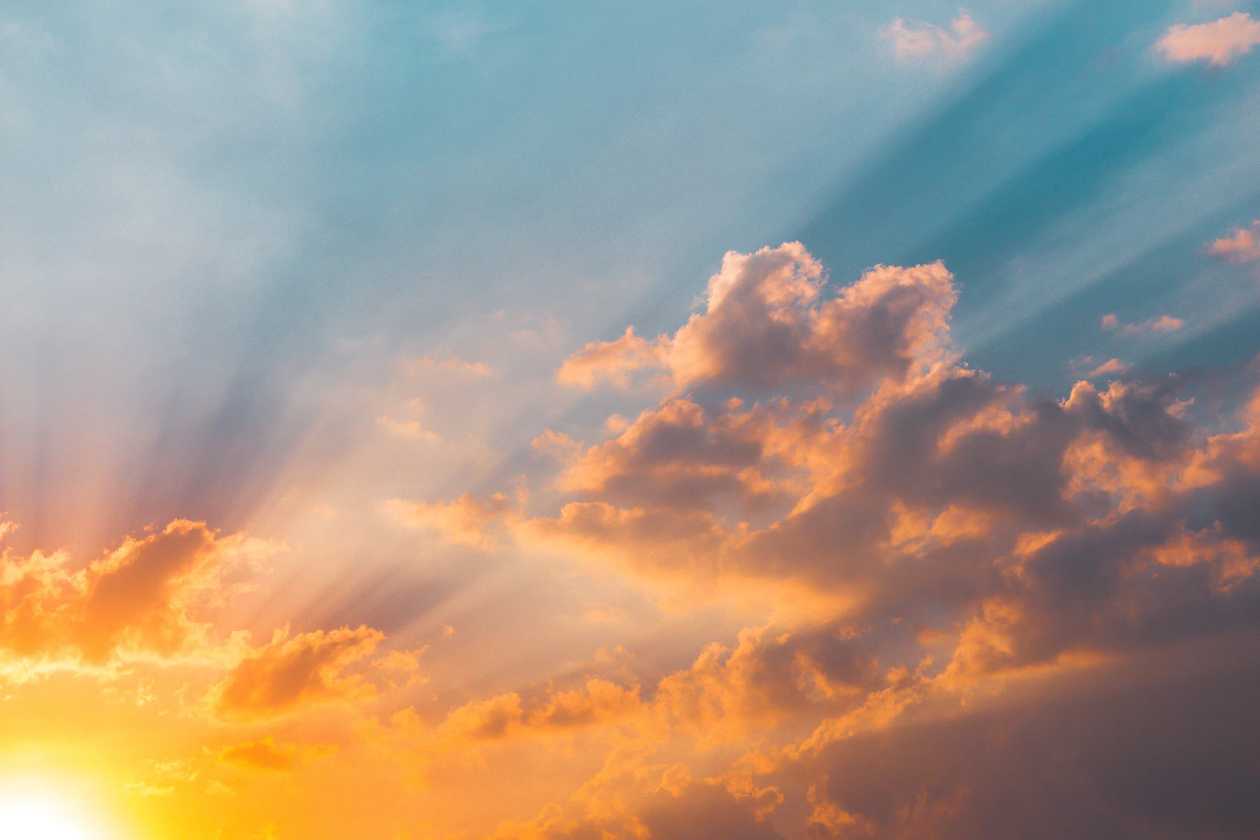 Satsang: Pathways to Peace