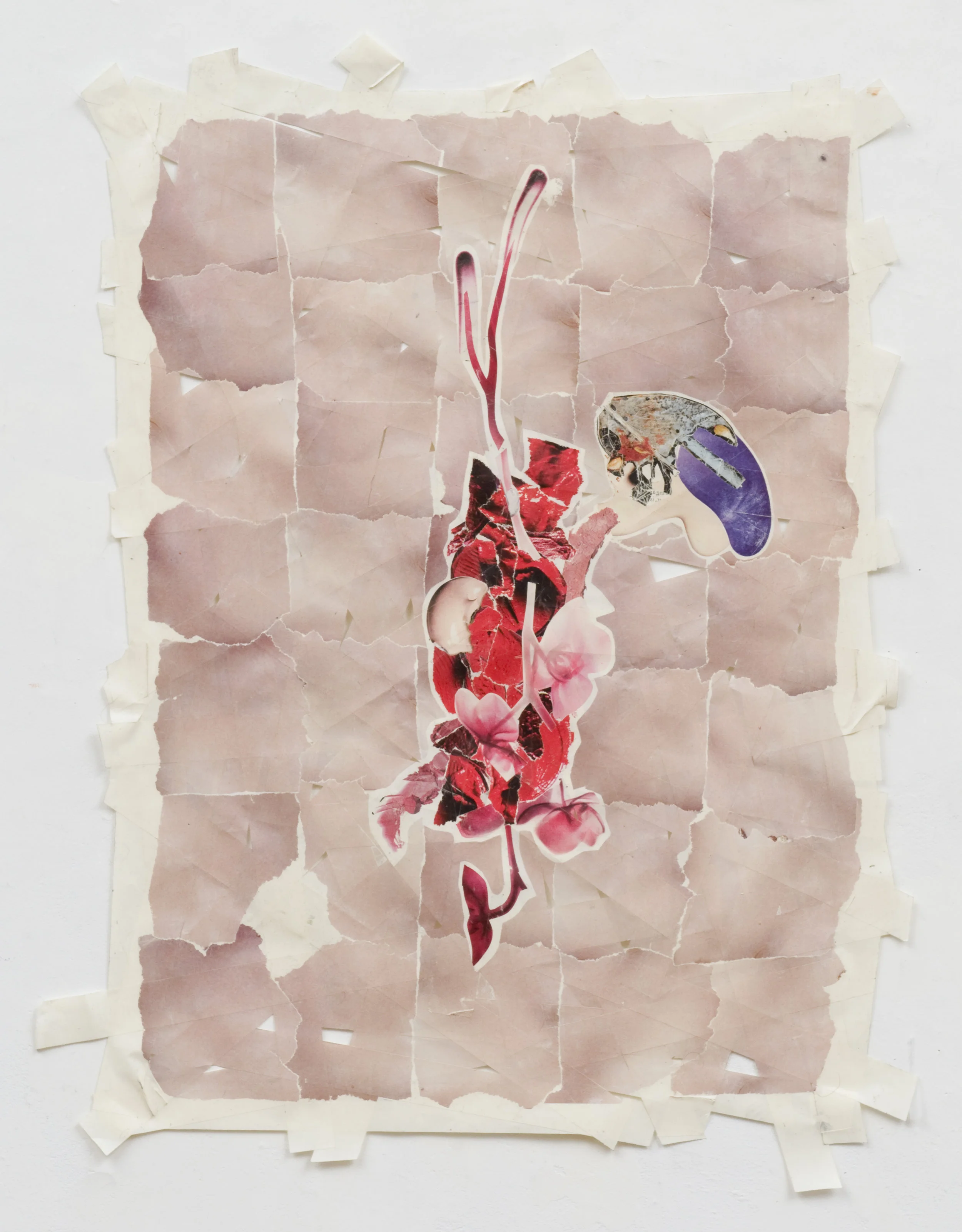 Possession , 2008 Magazine transferred onto tape. 23.5x 18.5 inches