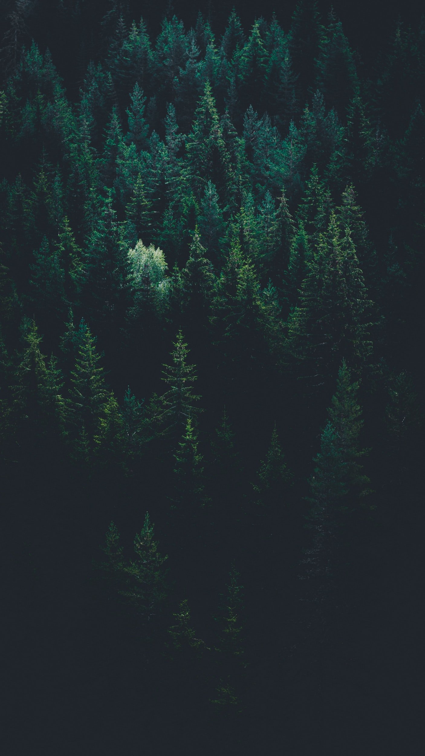 unsplash-image-LPKk3wtkC-g.jpg