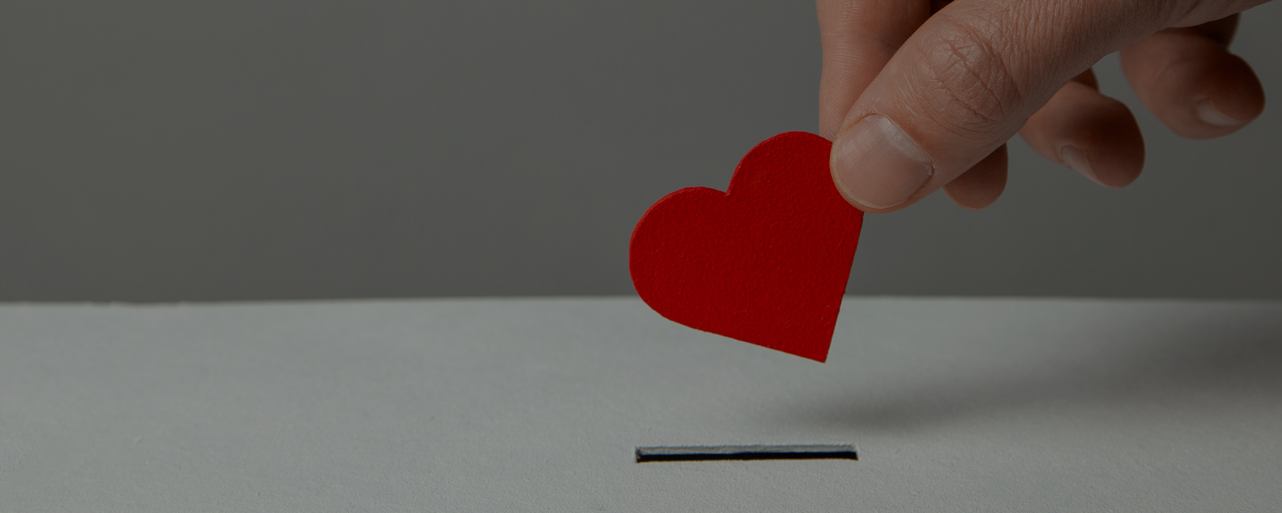 donations banner image.png