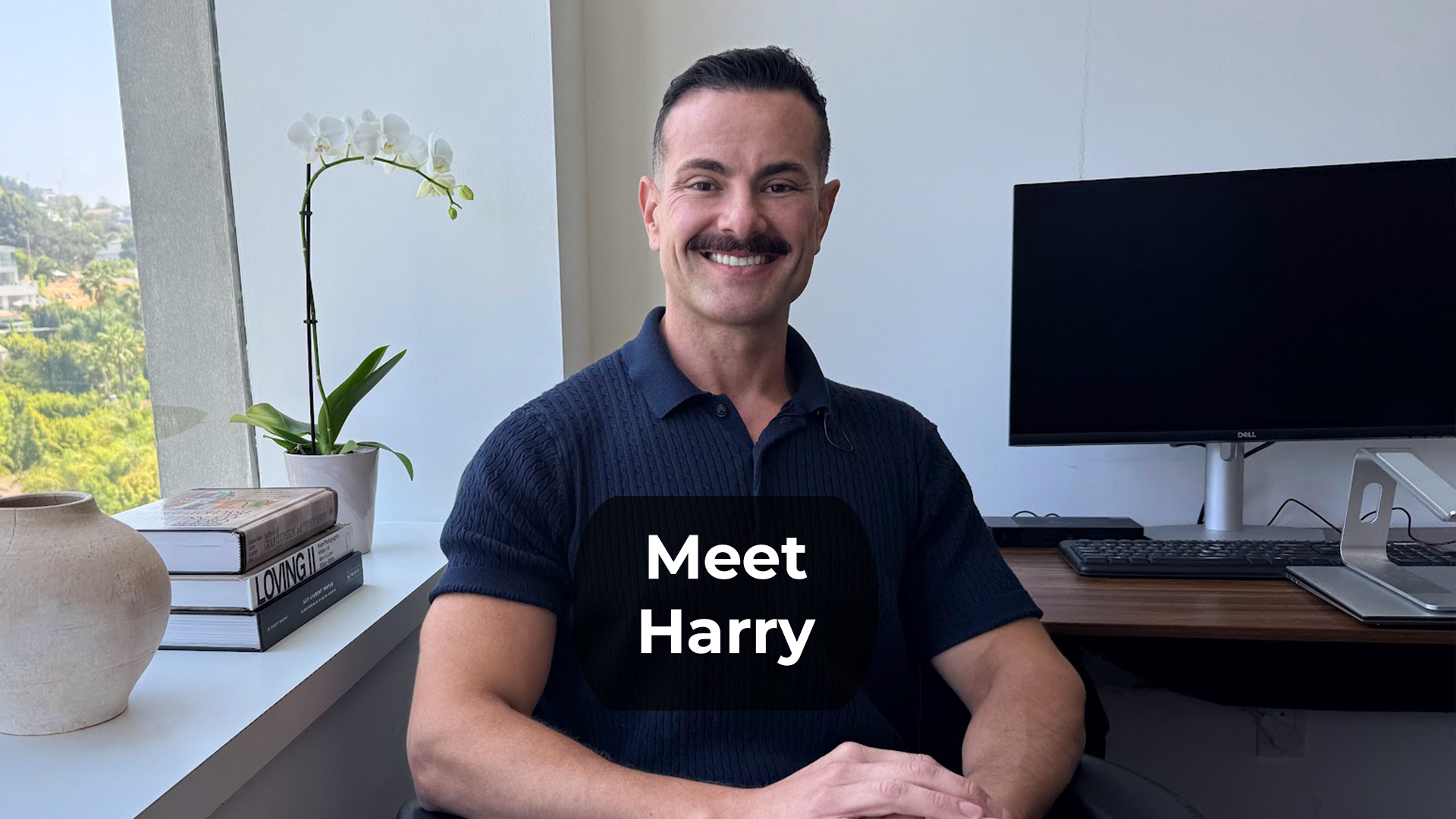 Meet Harry thumb.png