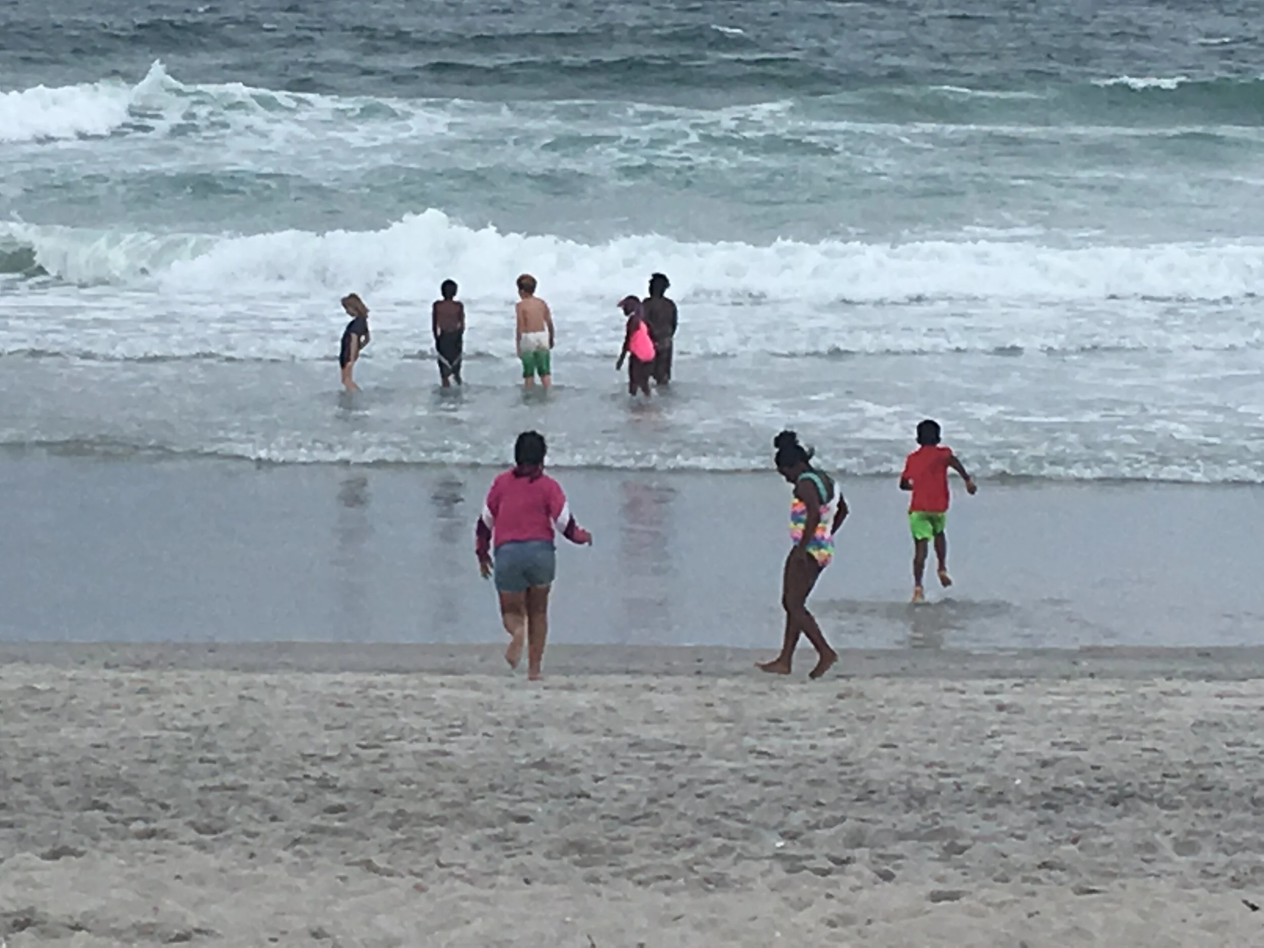 Paw Prints (Quarterly Edition Jan-Mar 2021)