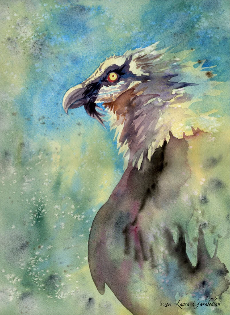 Laura Garabedian Art