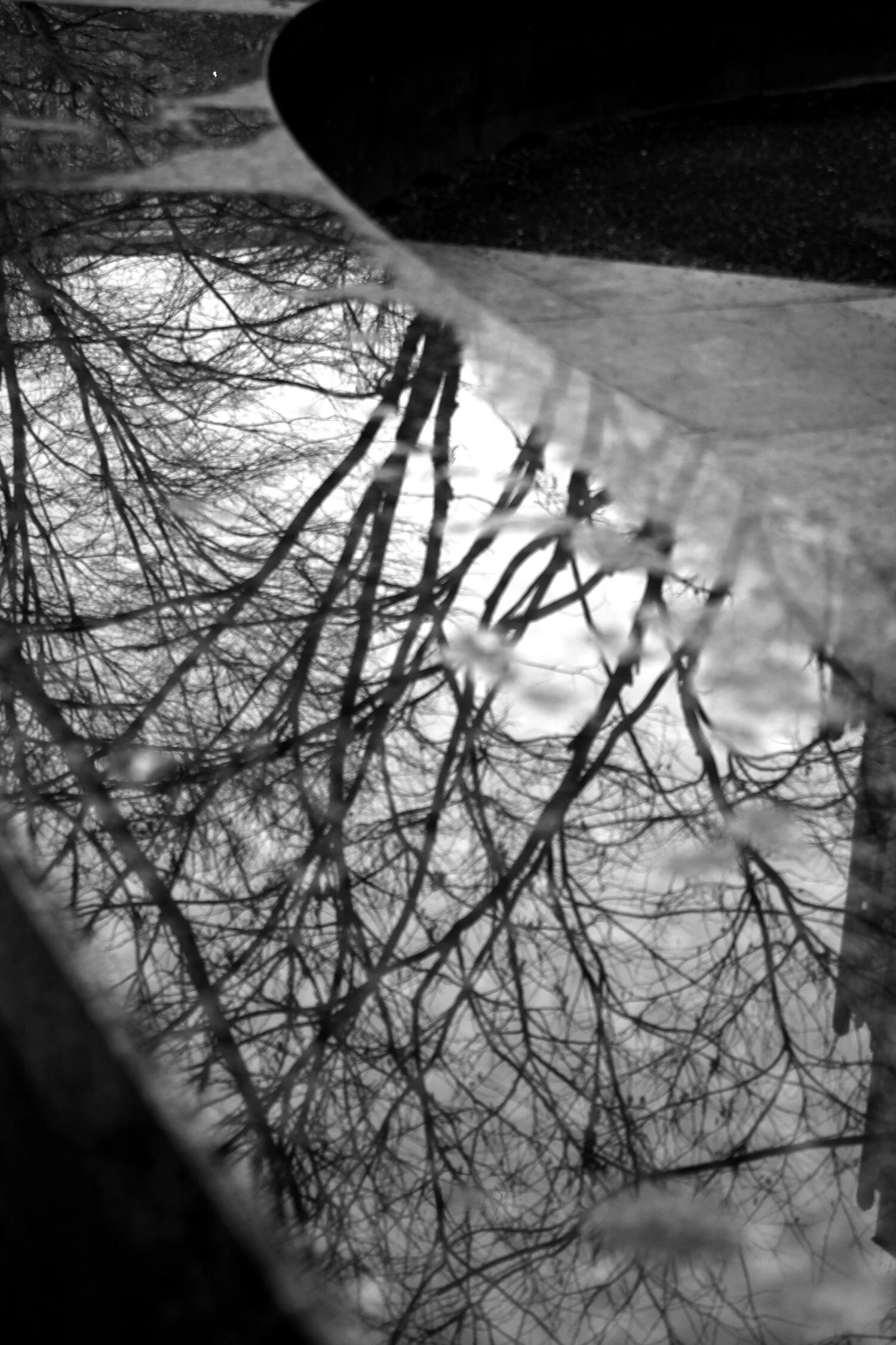 IMG_8793_BW_small.jpg