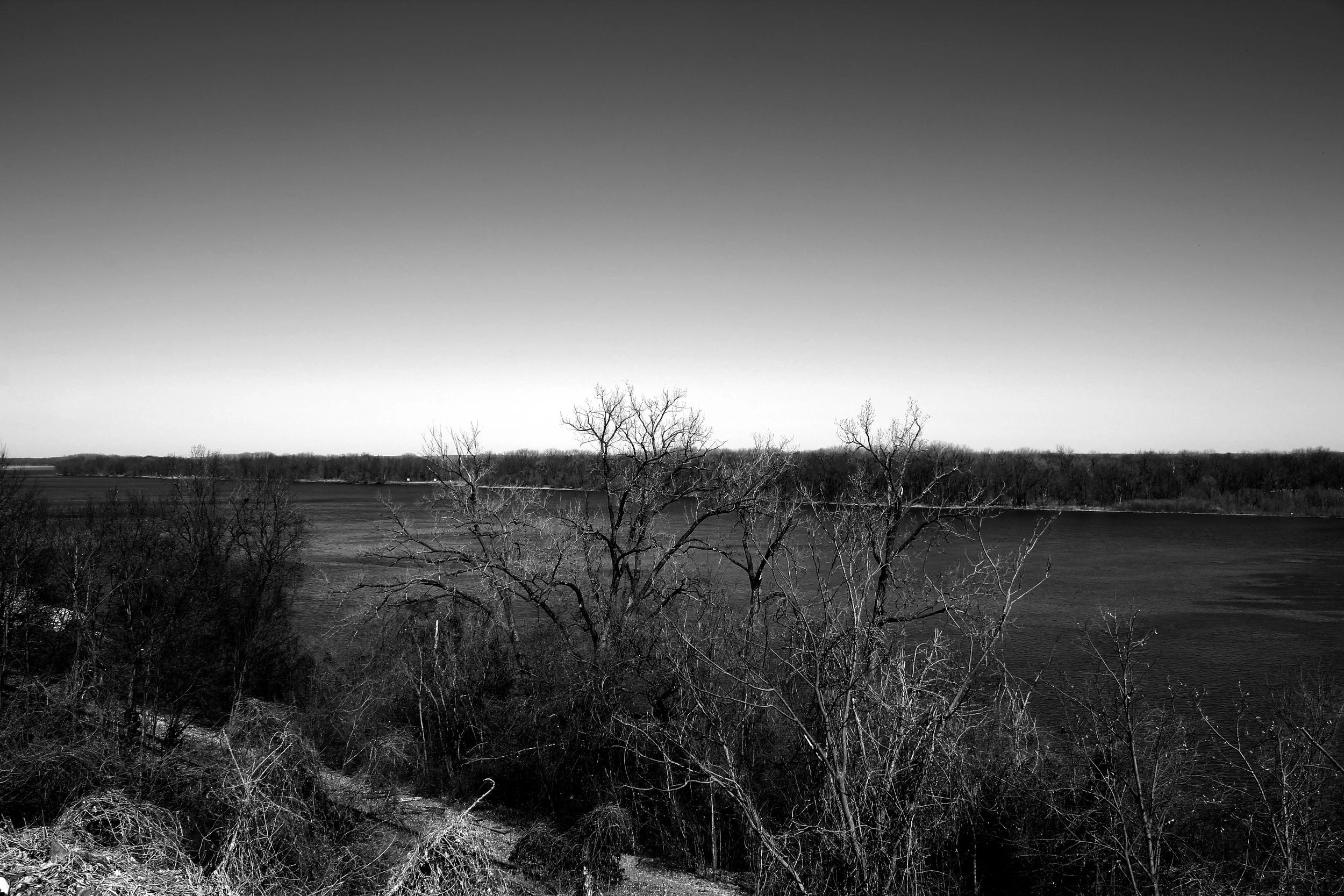 IMG_3146 copy.JPG
