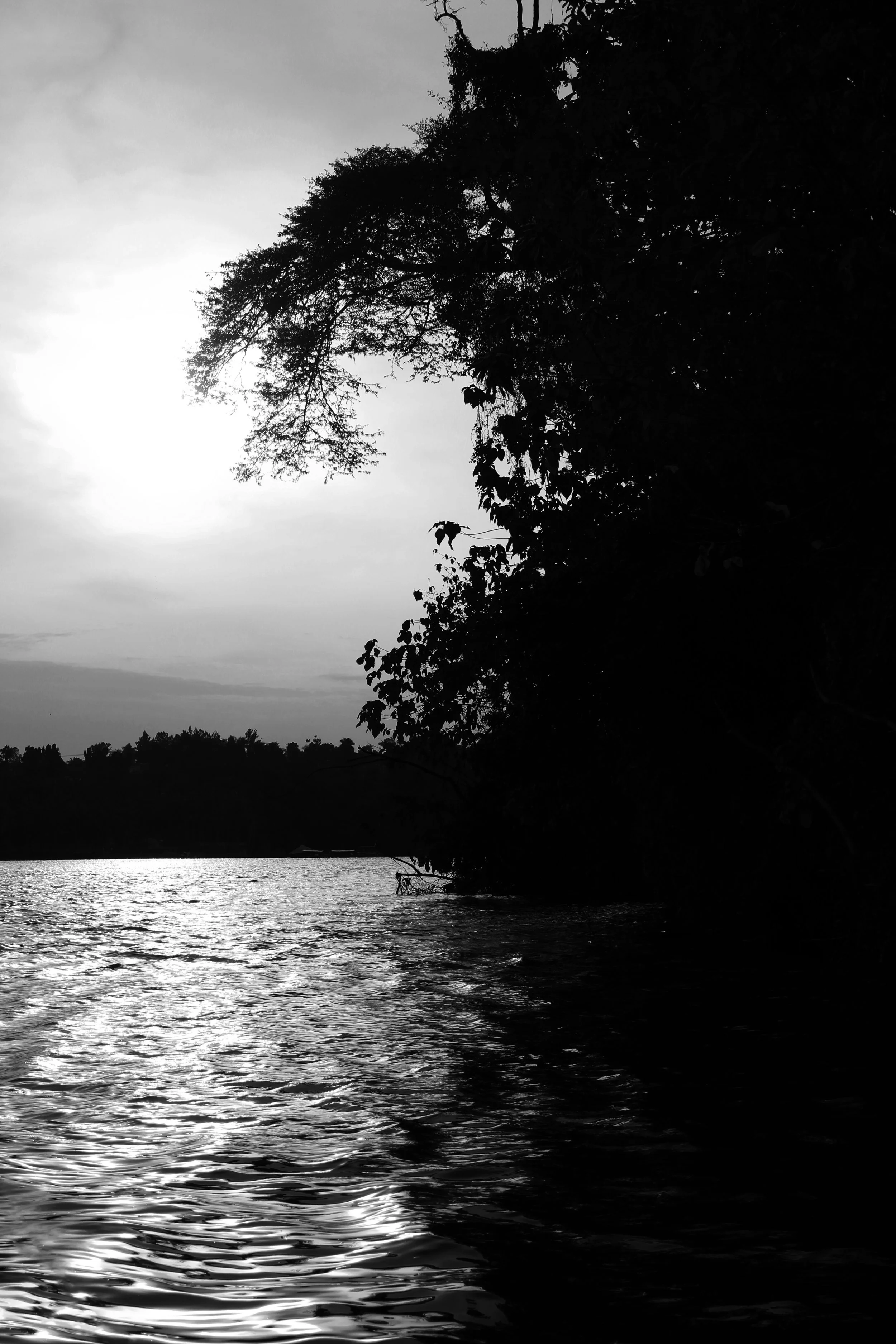IMG_8669 copy 2.jpg