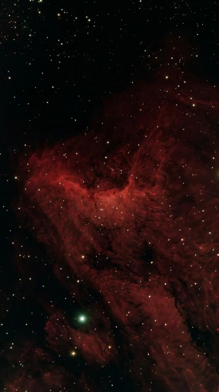 Lion Nebula