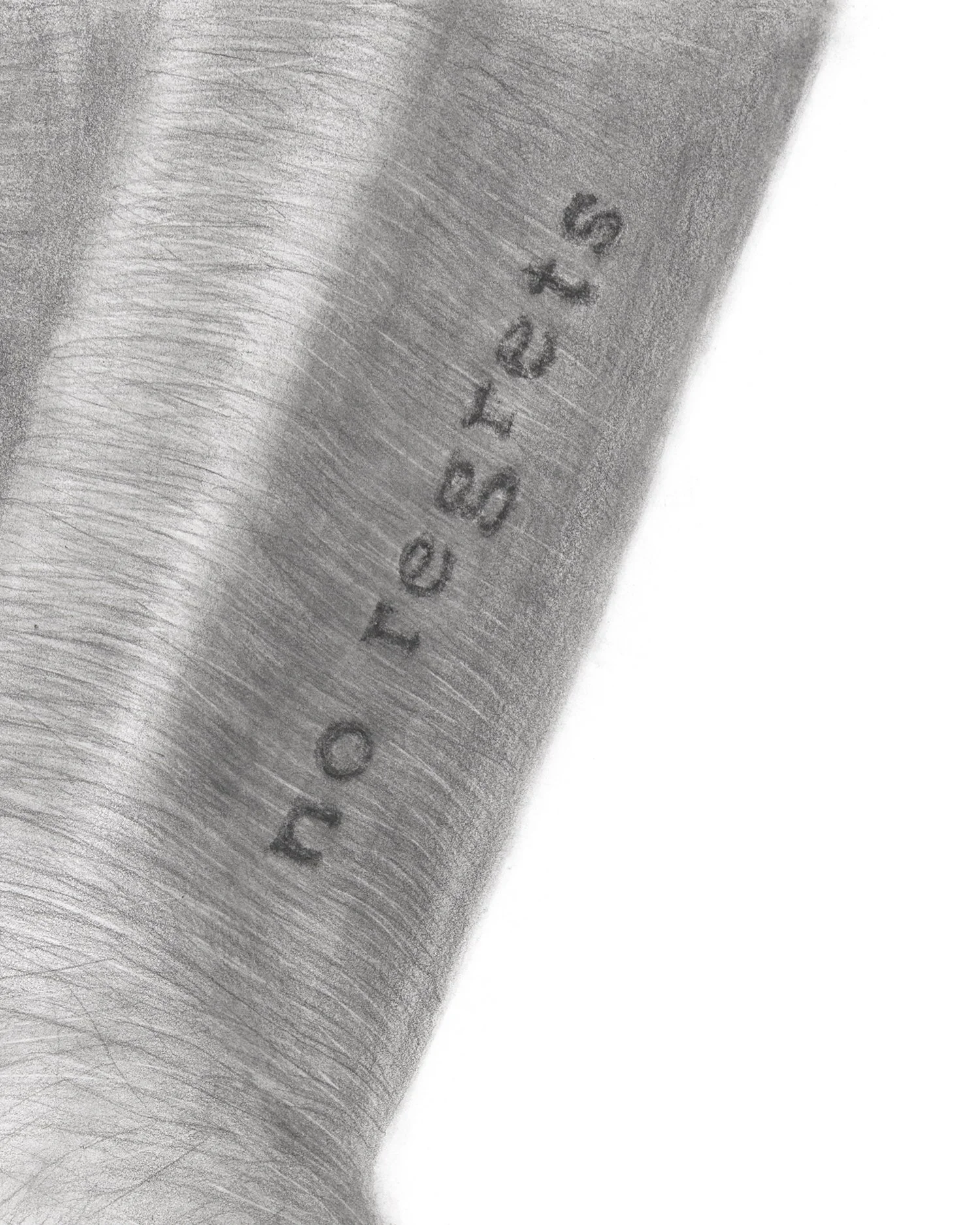 BIG JPG close up 02b.jpg