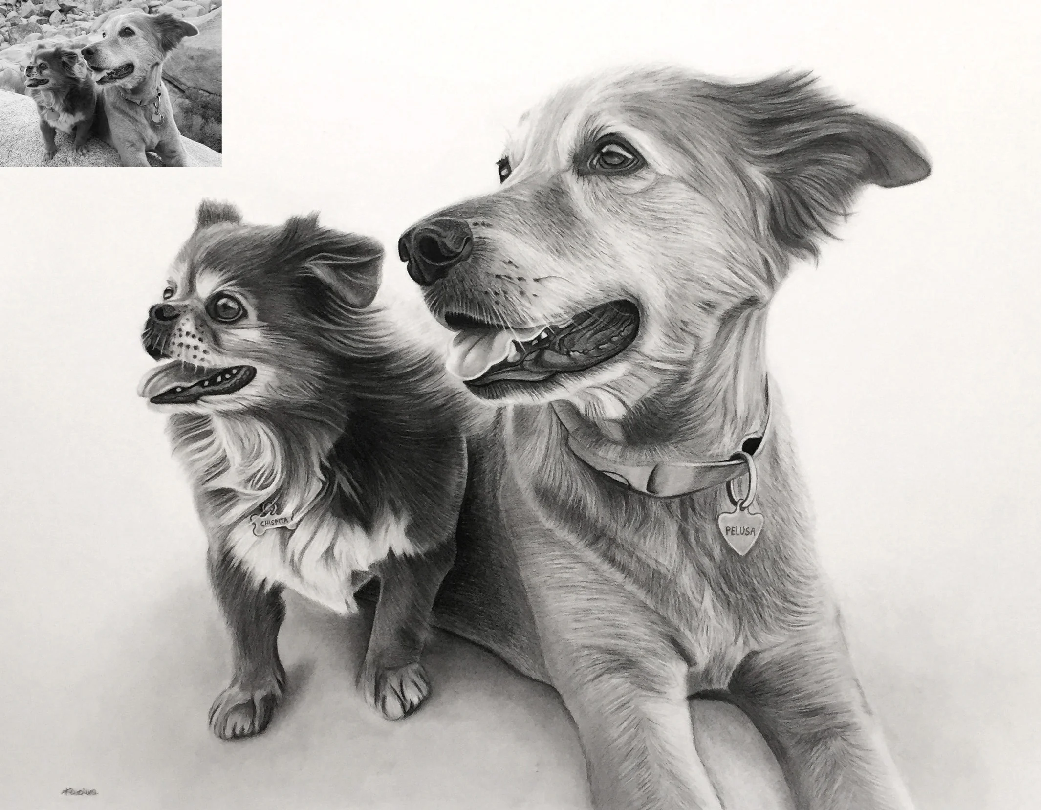 "Chispita and Pelusa" 14x18 inches.