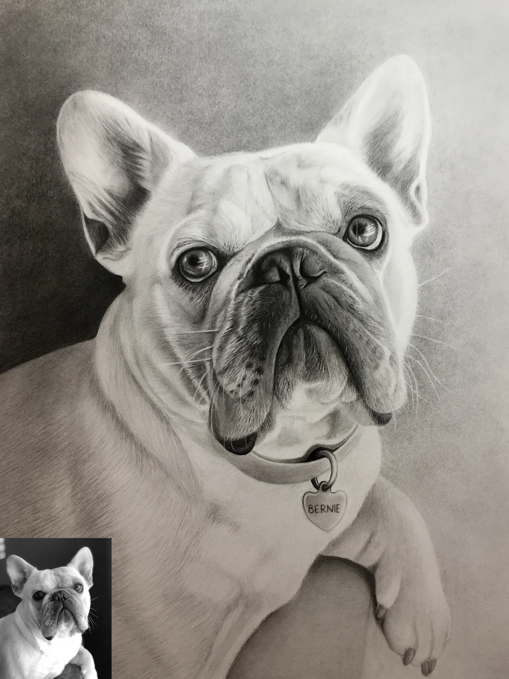 "Bernie" 12x18 inches.