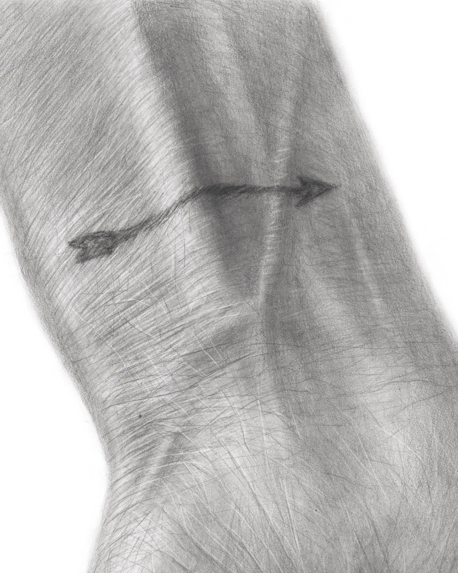 BIG JPG close up 03.jpg