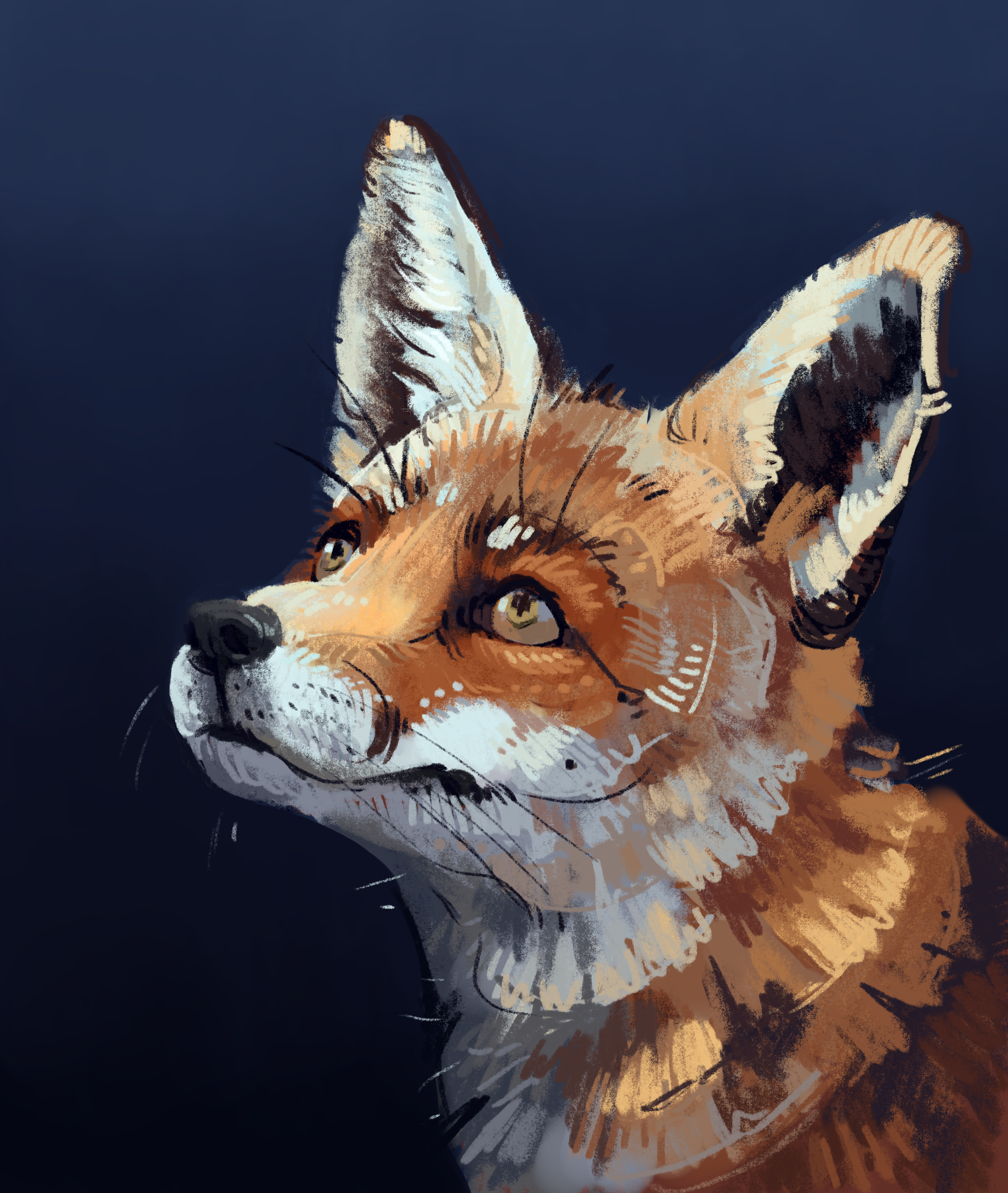 Untitled_Artwork (11).png