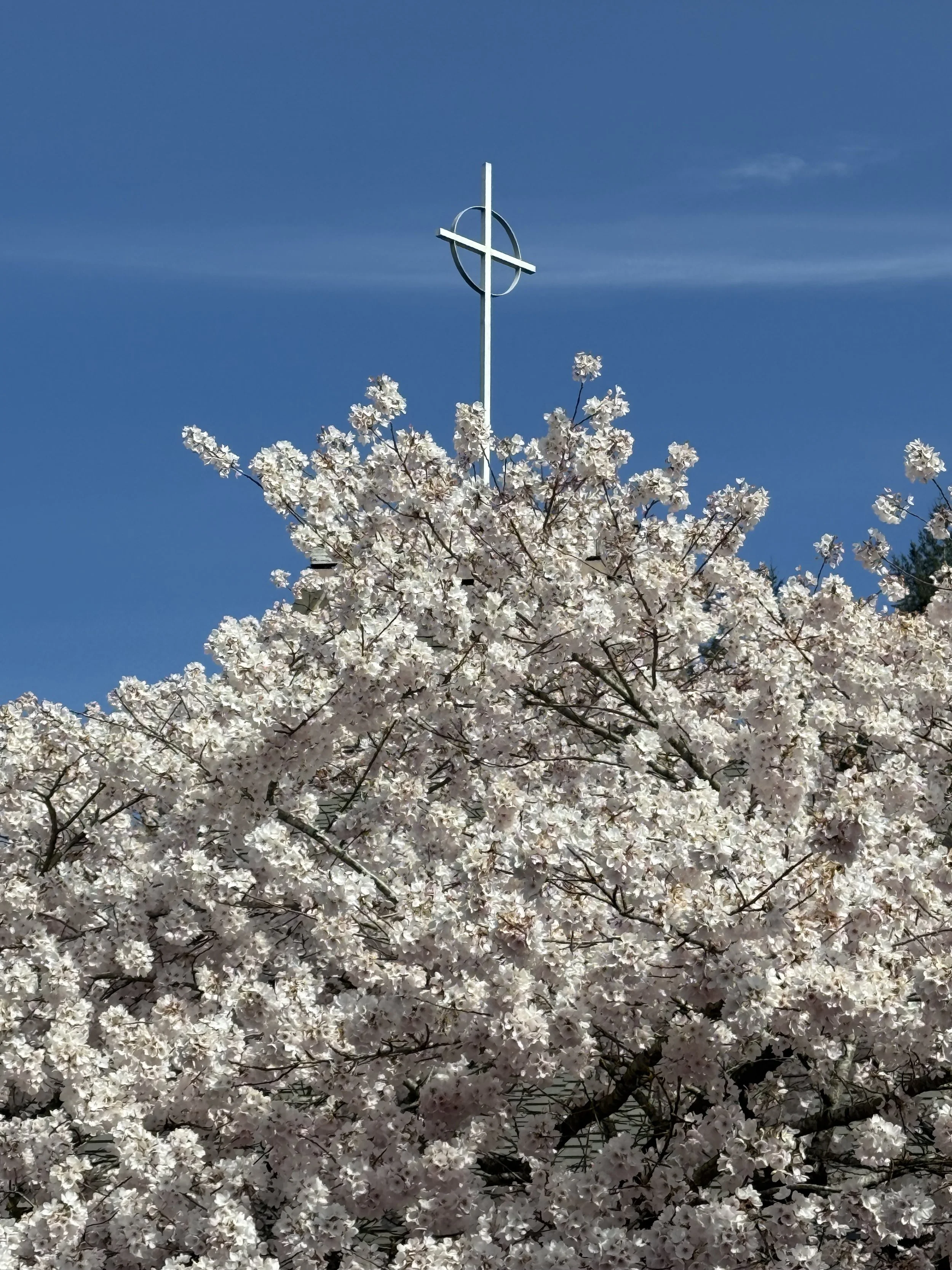 Resurrection is Happening 