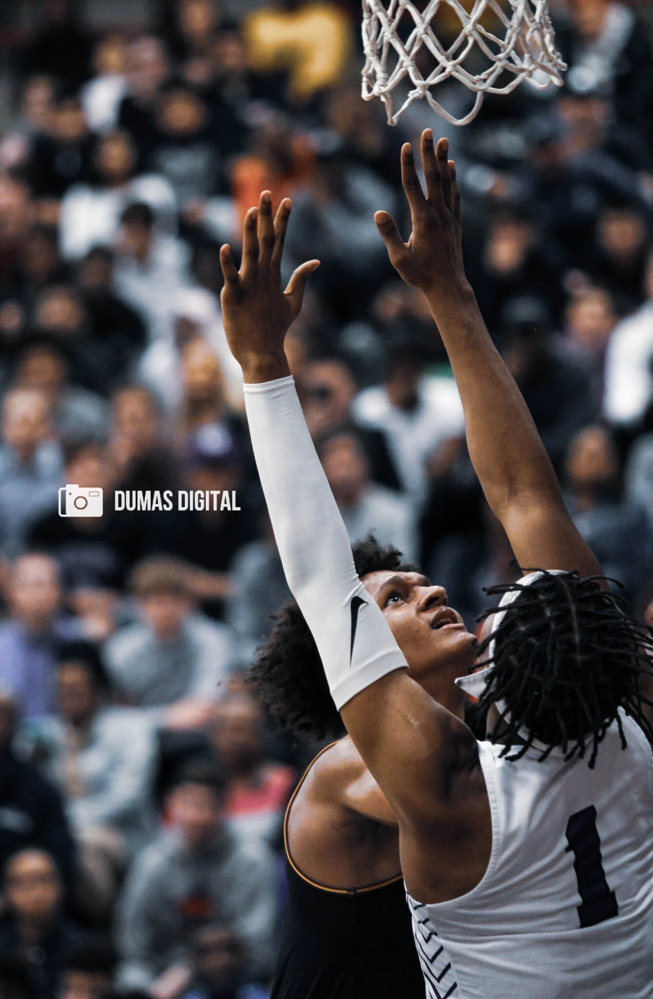 2.20 Paolo x Kendall.JPG