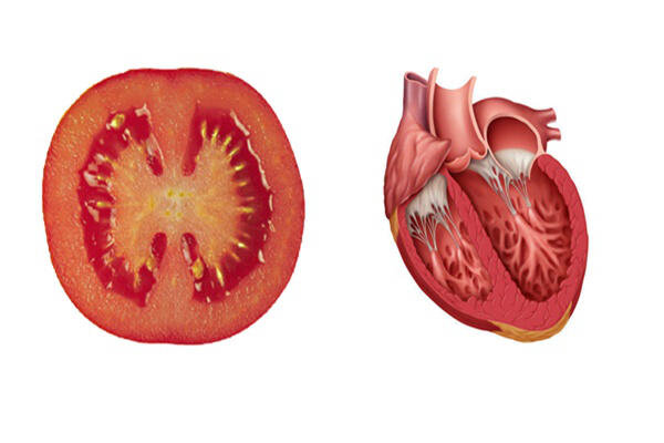 Foods that look like your body parts they are good for