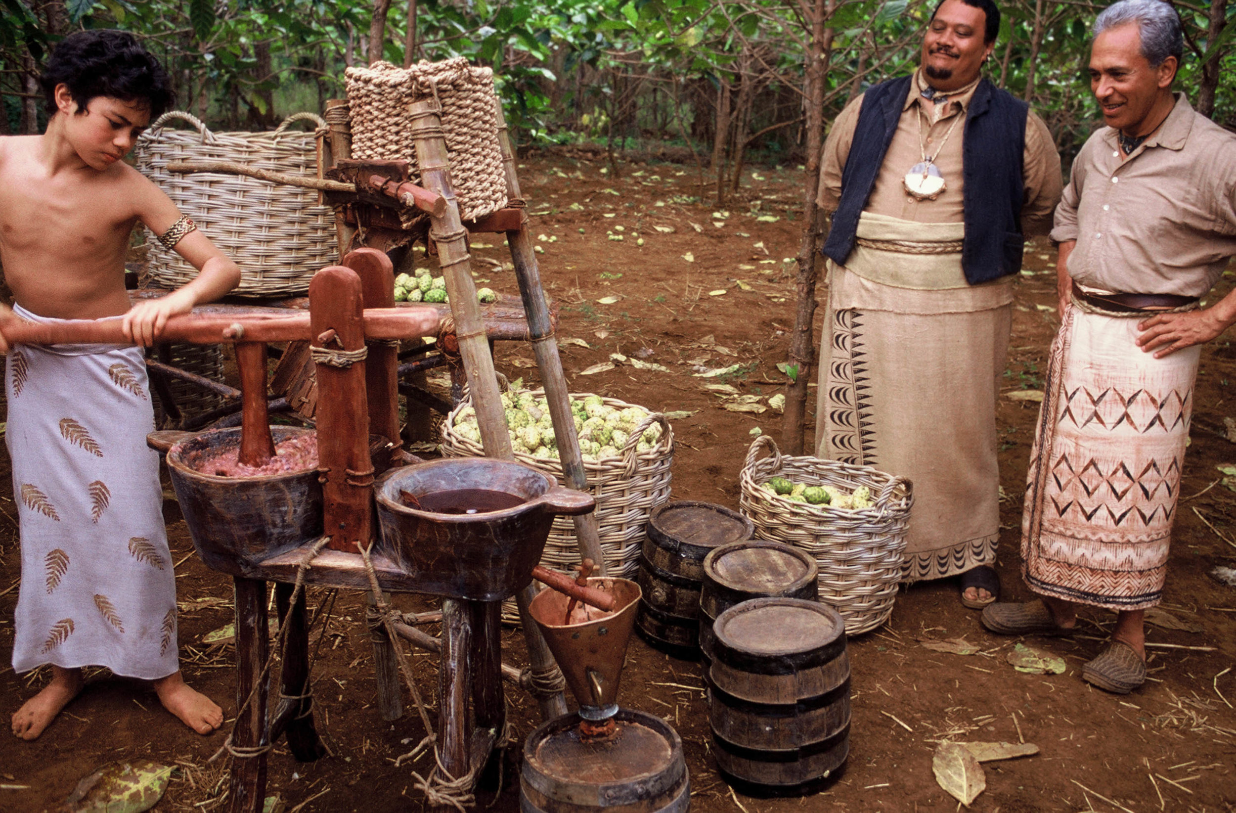 Tama at Work with Noni Fruit