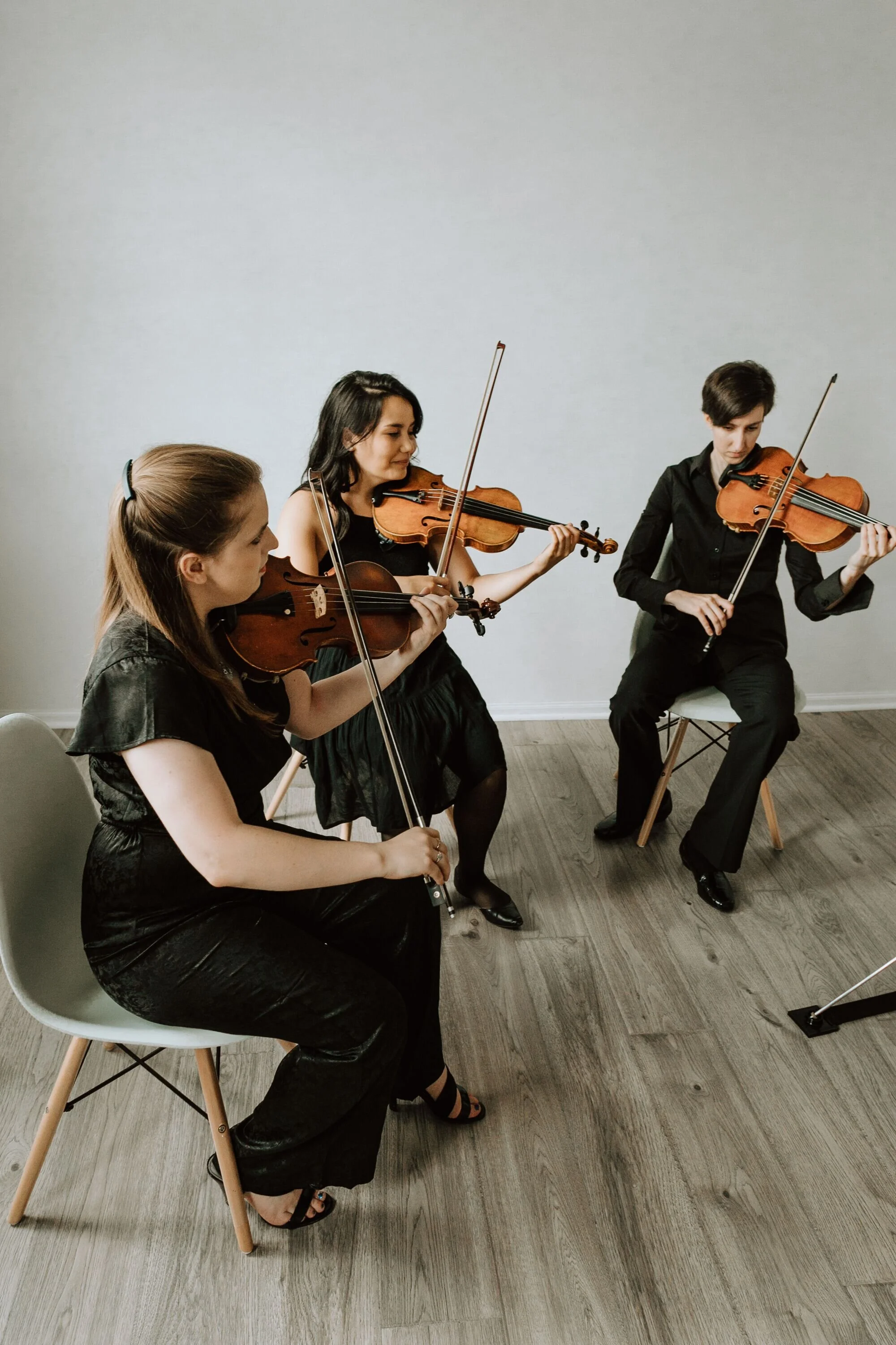 Introducing... songs you can quarantine to!