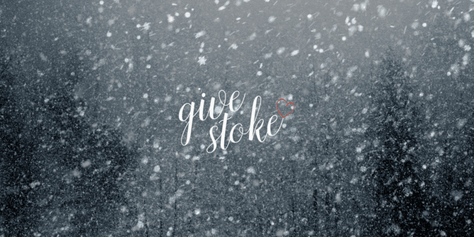 Give Stoke Website Banner.gif