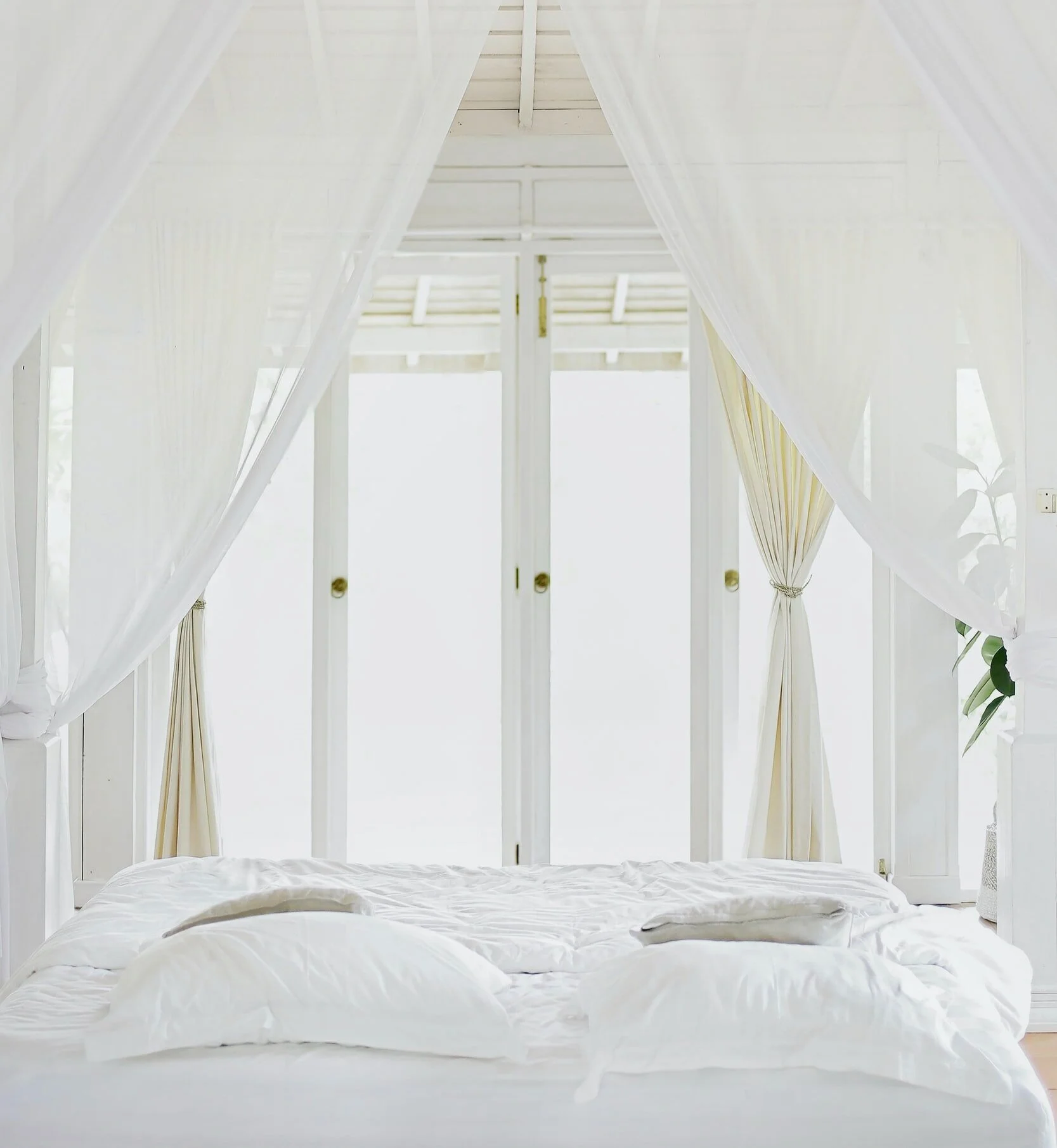 CBD Success Story: Managing Stress &amp; Sleep with Breeze's Shut Eye Gummies