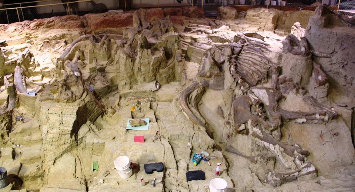 Mammoth Site.jpg