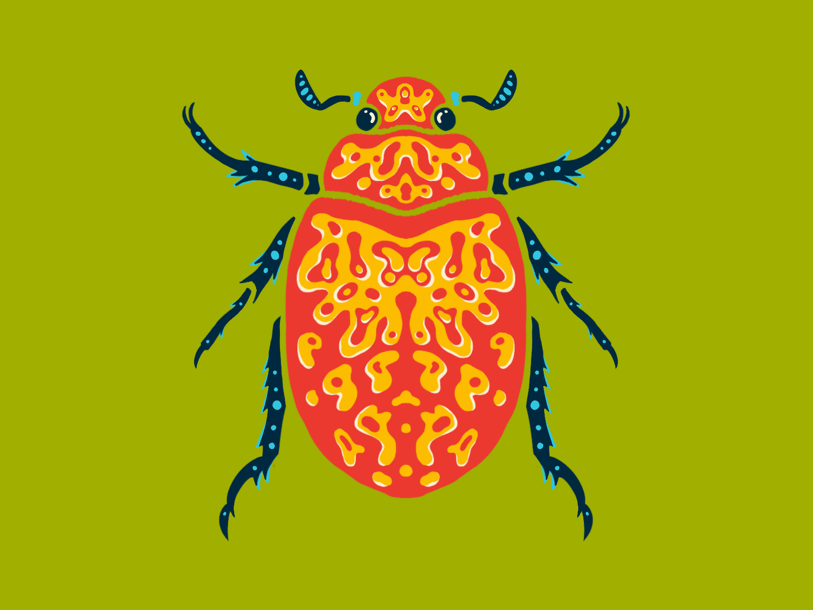 beetle.png