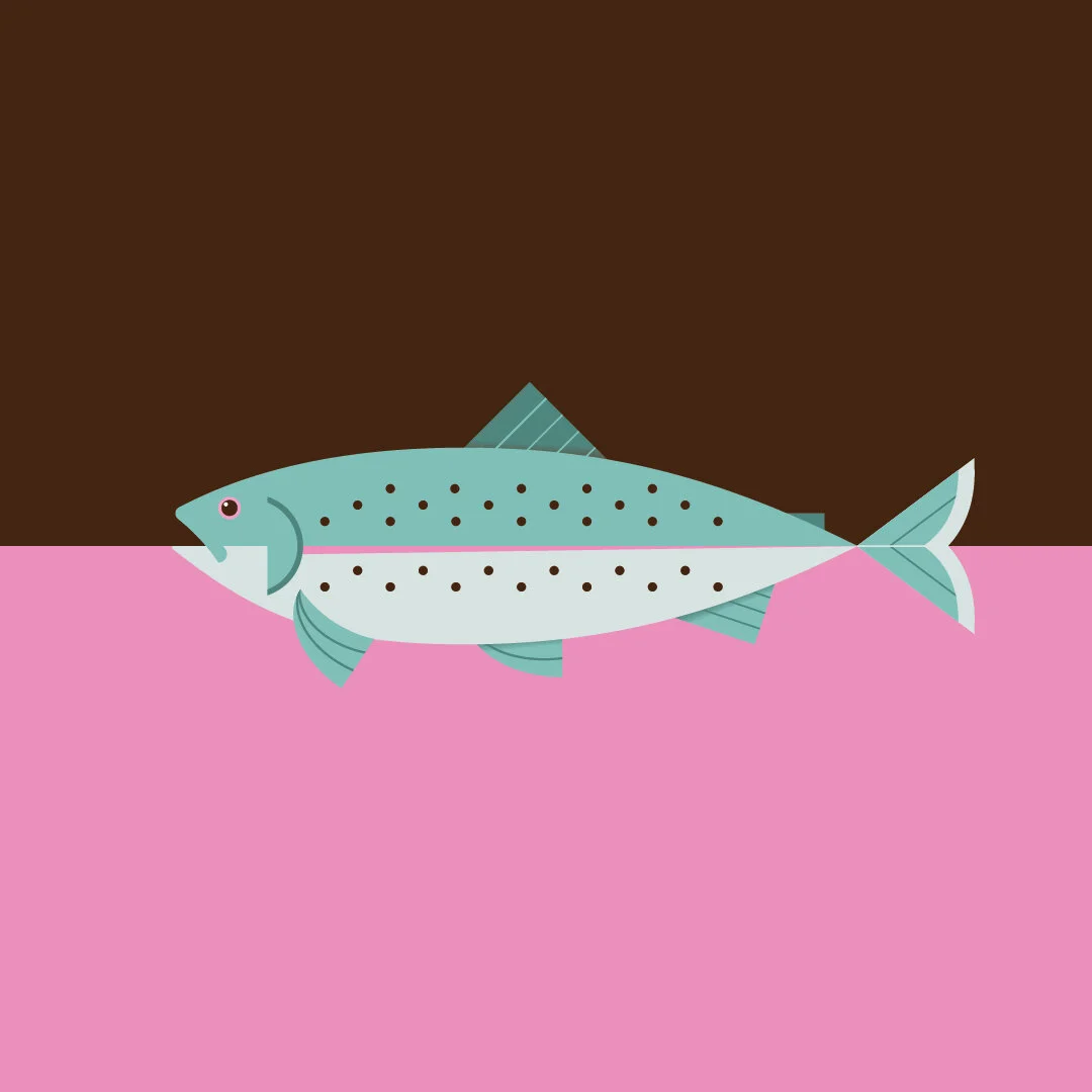 Trout-03.jpg