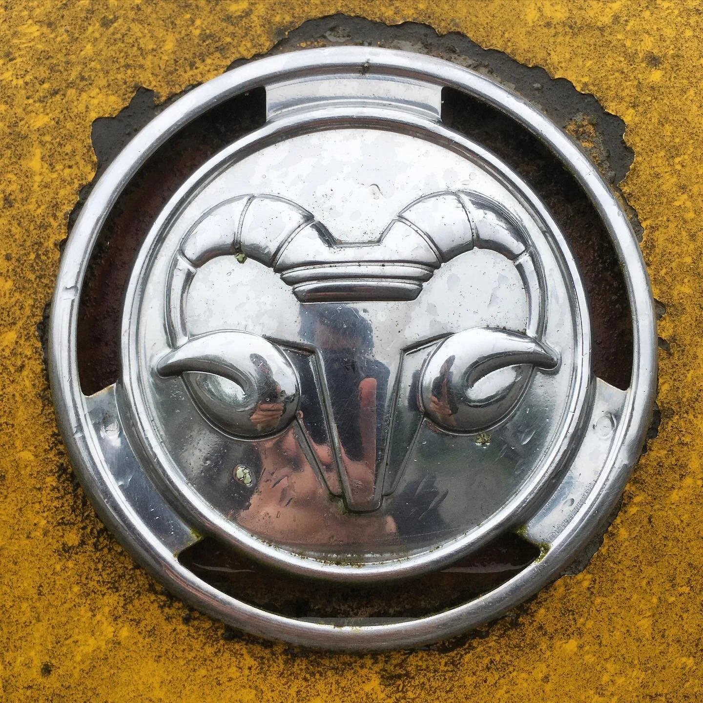 🐏

&mdash;

#seeninseattle #dodgeram #horns #caremblem #design #seattle #type #seattledesign #signage #sign #vintage #vintagesign #seattlegraphicdesign #graphicdesign #design #typography #seattletype #pnw #northwest #pnwdesign #logo #logodesign #sea