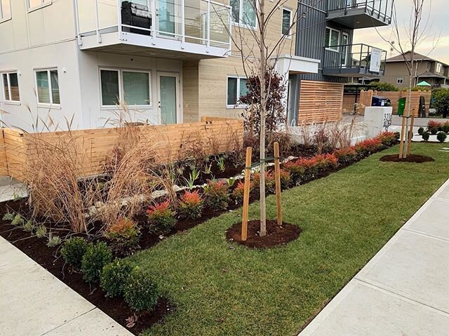 Are you dreaming of spring time in Victoria already? So are we! If you&rsquo;re looking to spruce up your landscaping this year, it&rsquo;s time to start thinking about it now as our spring calendar is already booking up. Call, text or email today an