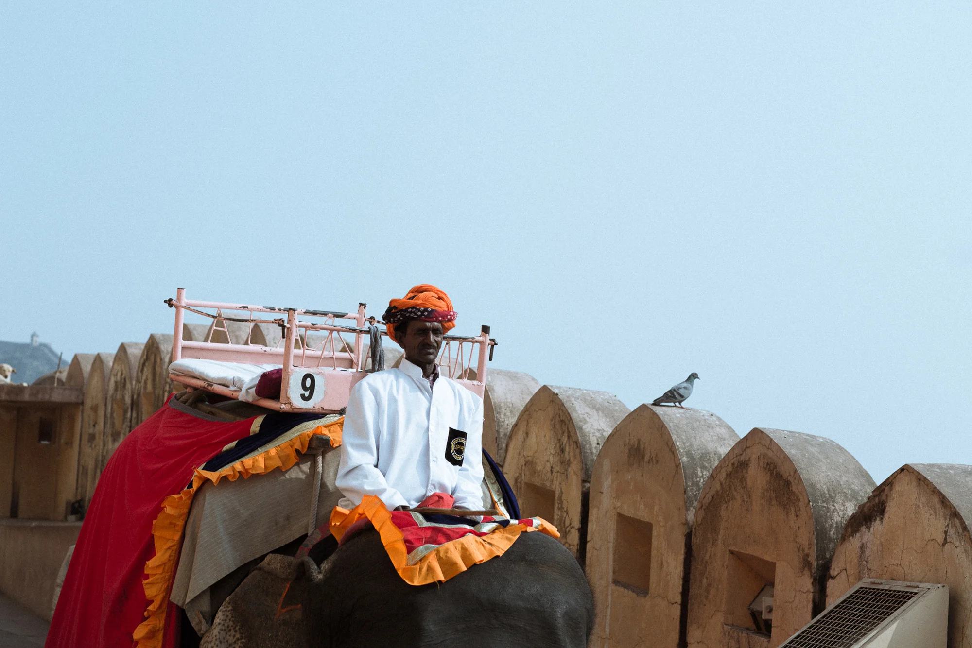 Amber Fort - India #2