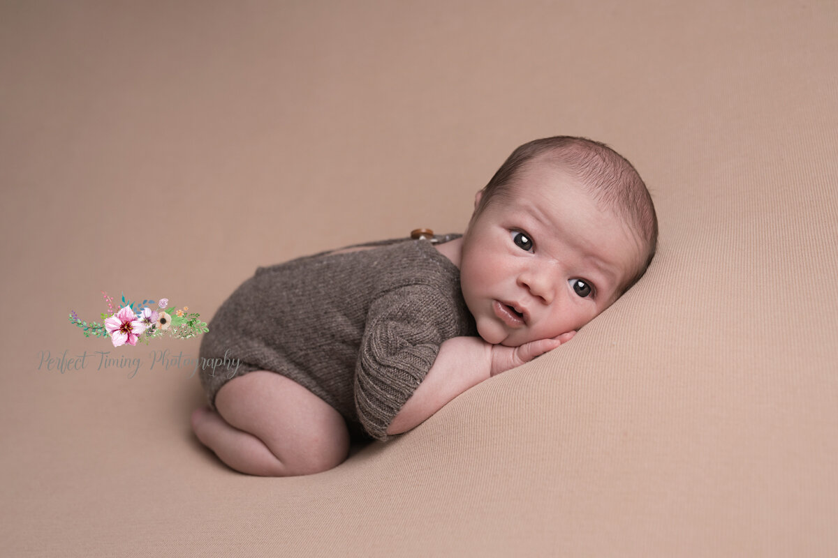 How precious is a new baby!
This adorable little man was in the studio with his parents recently for his newborn session - cherished memories preserved forever.

Please get in touch to book your session