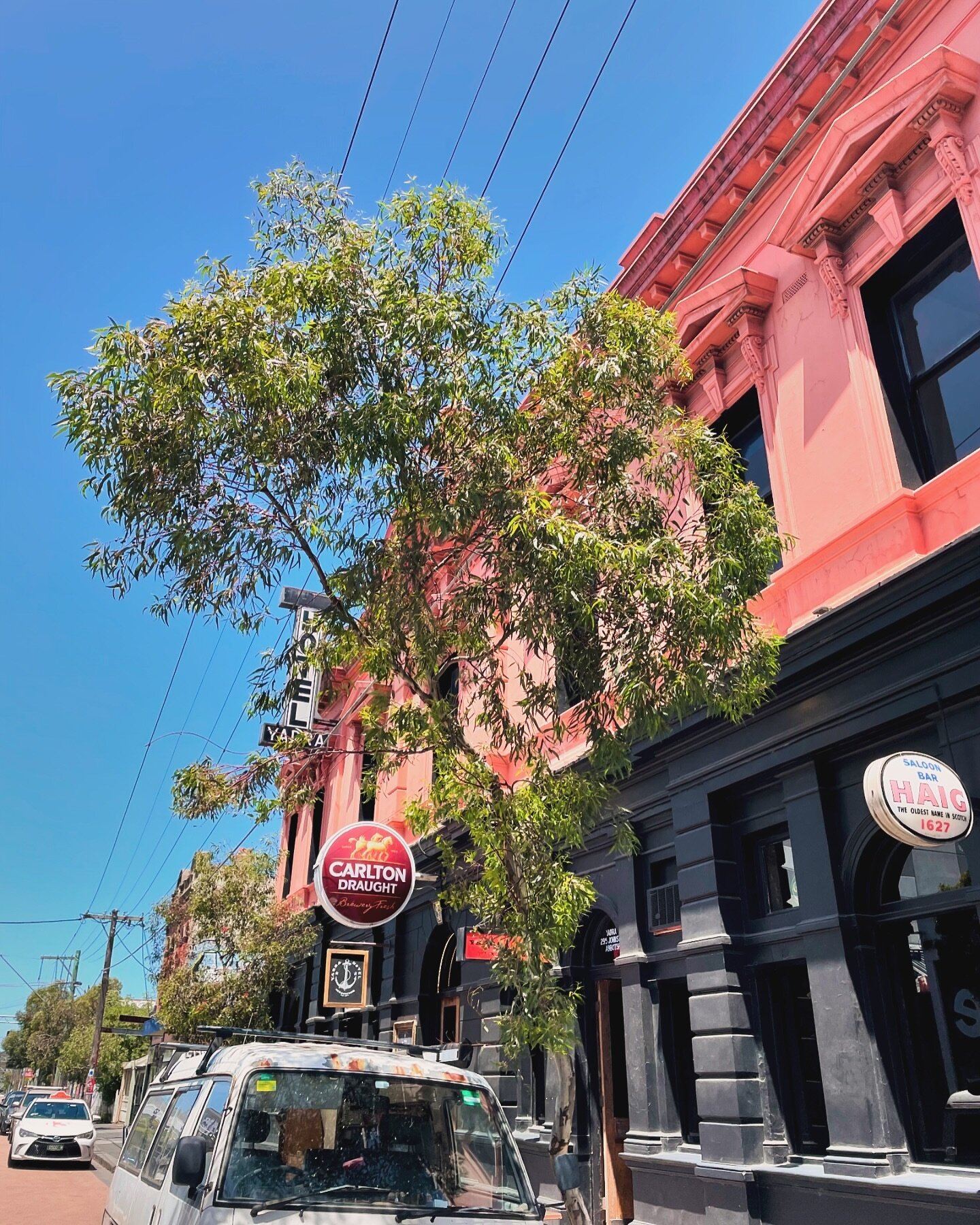 Long live sunny weekends 🌞 

Open from 12 for all of your Saturday-pint-in-the-sun needs 🍻 

#theyarra #abbotsford #cheerstotheweekend