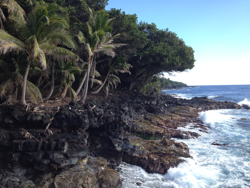 Hawaii_homepage.bottom.png