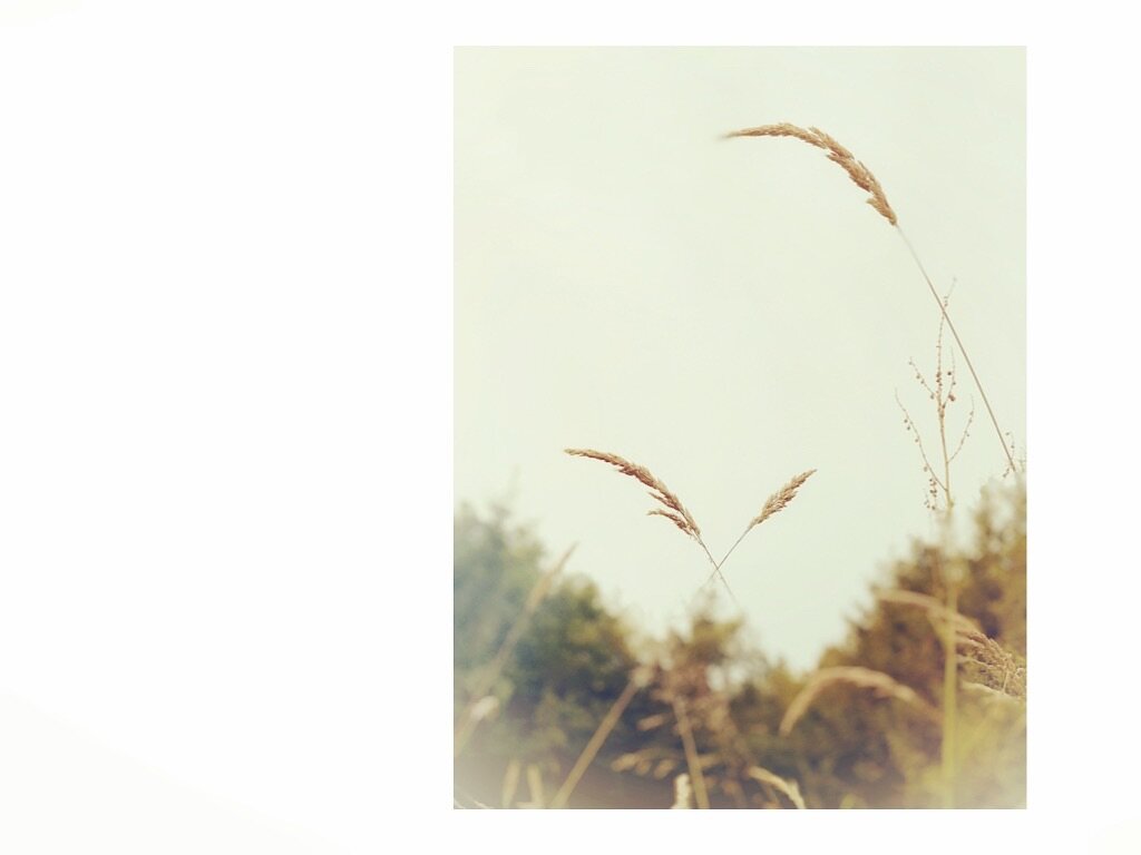 Waarom "onverstoorbaarheid" ? Wat is het ? Kan ik het ?