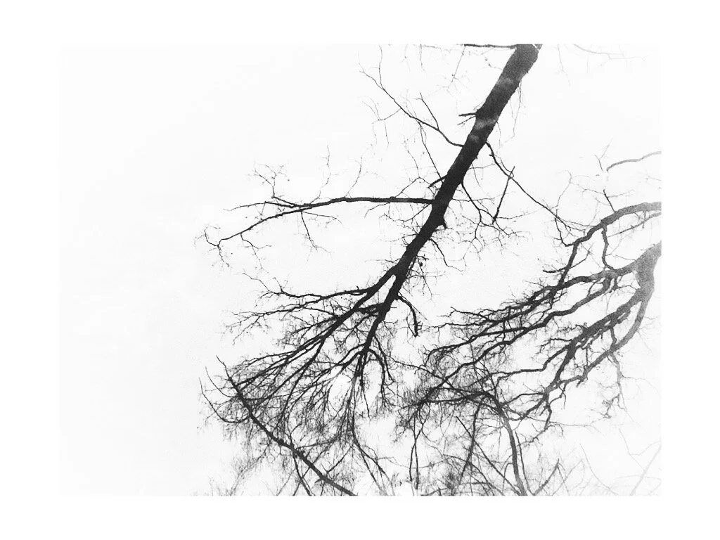 Wat je kan doen wanneer angst je onverstoorbaarheid doorbreekt.