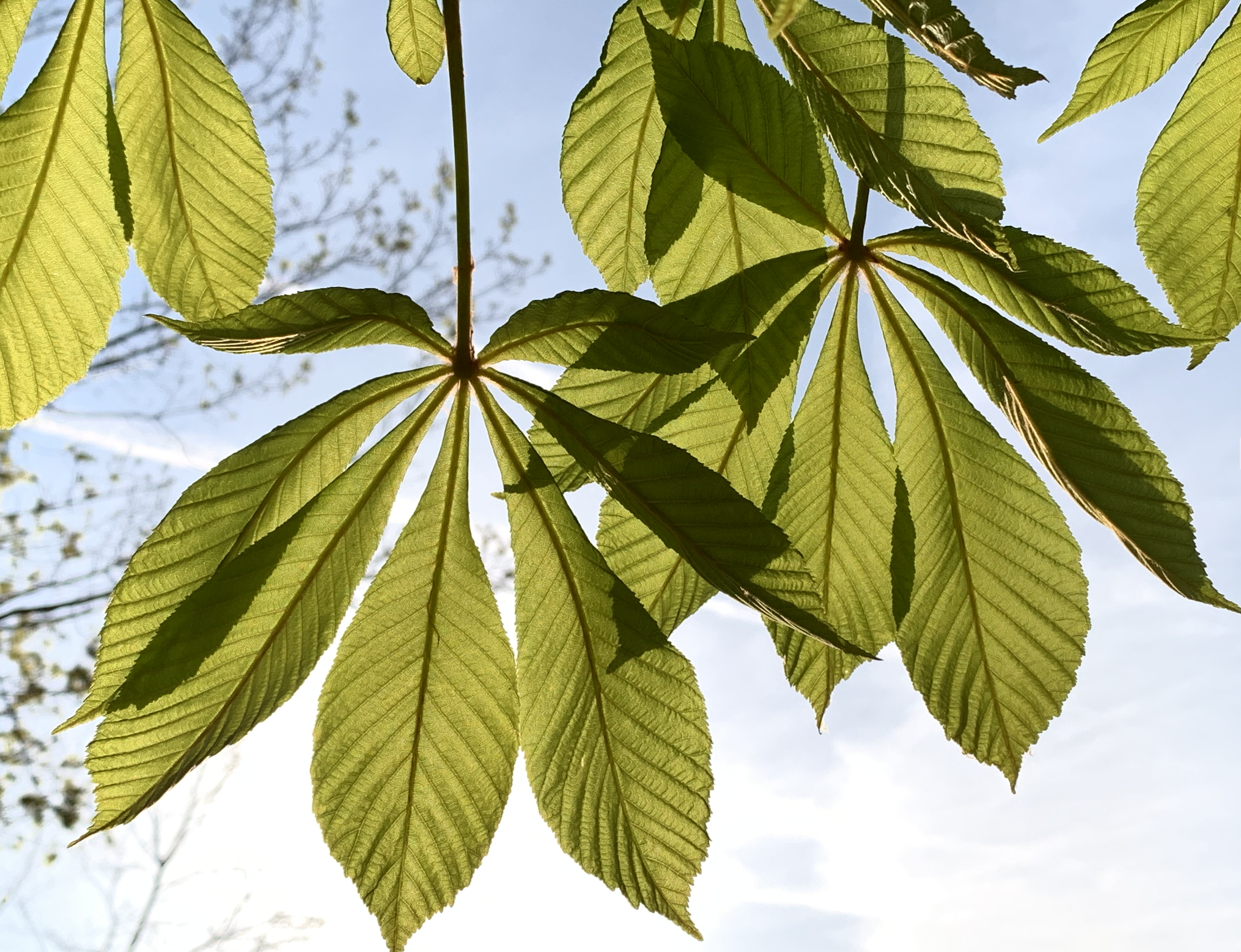 Wat kan je doen bij depressieve gedachten en gevoelens ? 