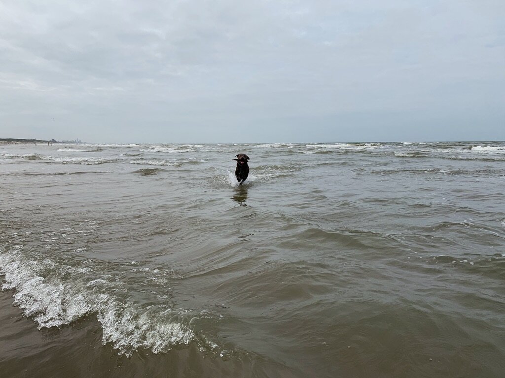 5 simpele en effectieve stappen om je staat van rust te activeren