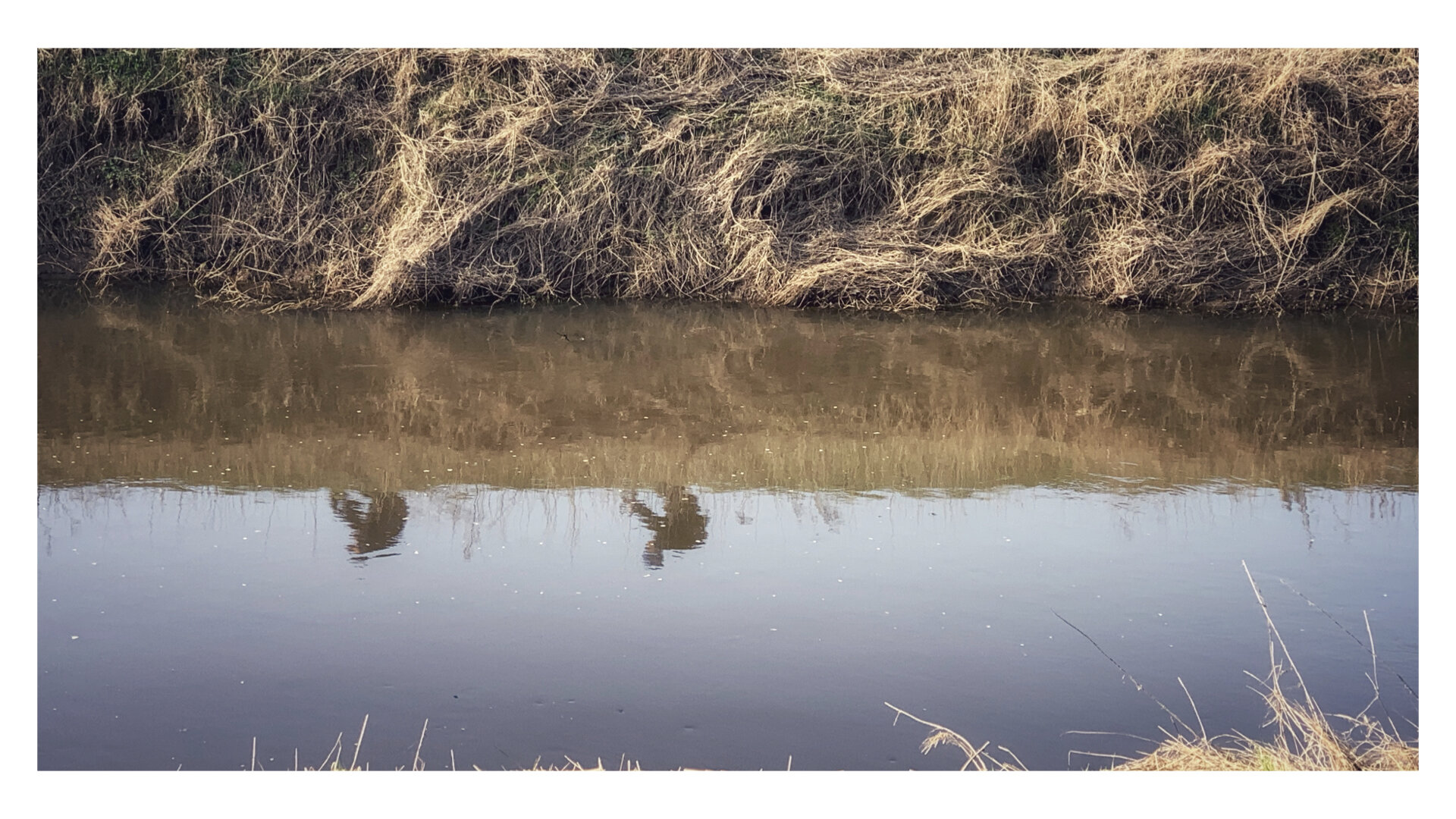 Ontdek hier je hechtingsstijl en hoe ze je relaties kan beïnvloeden
