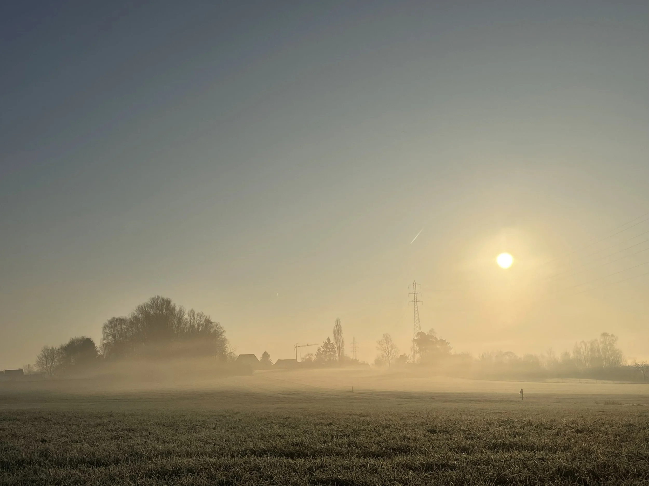 Opstellingen in groep Augustus