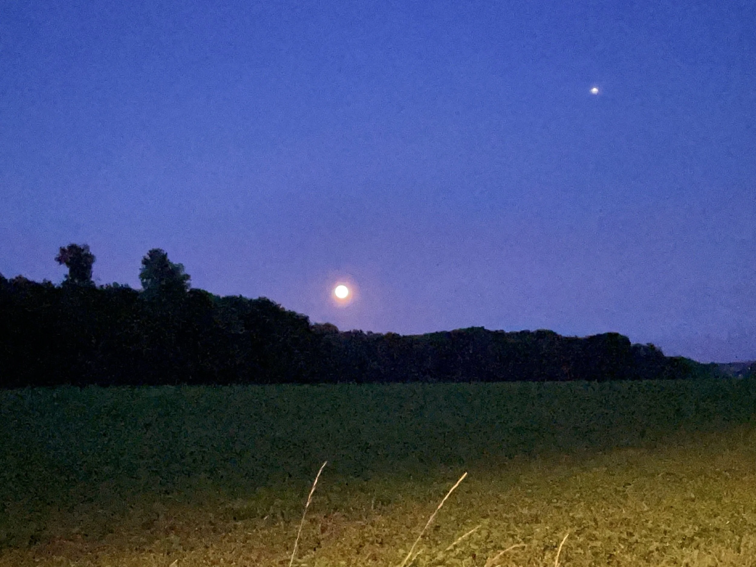 Volle Maan Ceremonie met cacao en meditatie, begeleid door Penny.