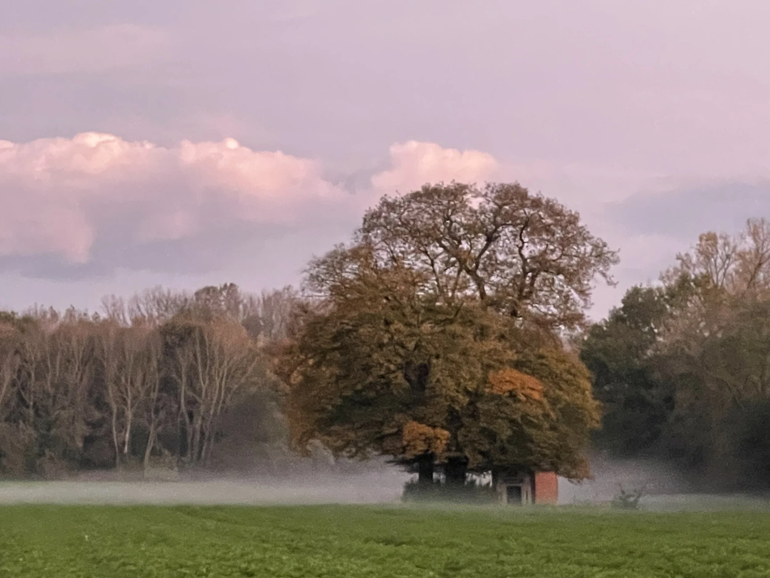 Het wordt écht beter!  Hoe werkt trauma heling nu echt?