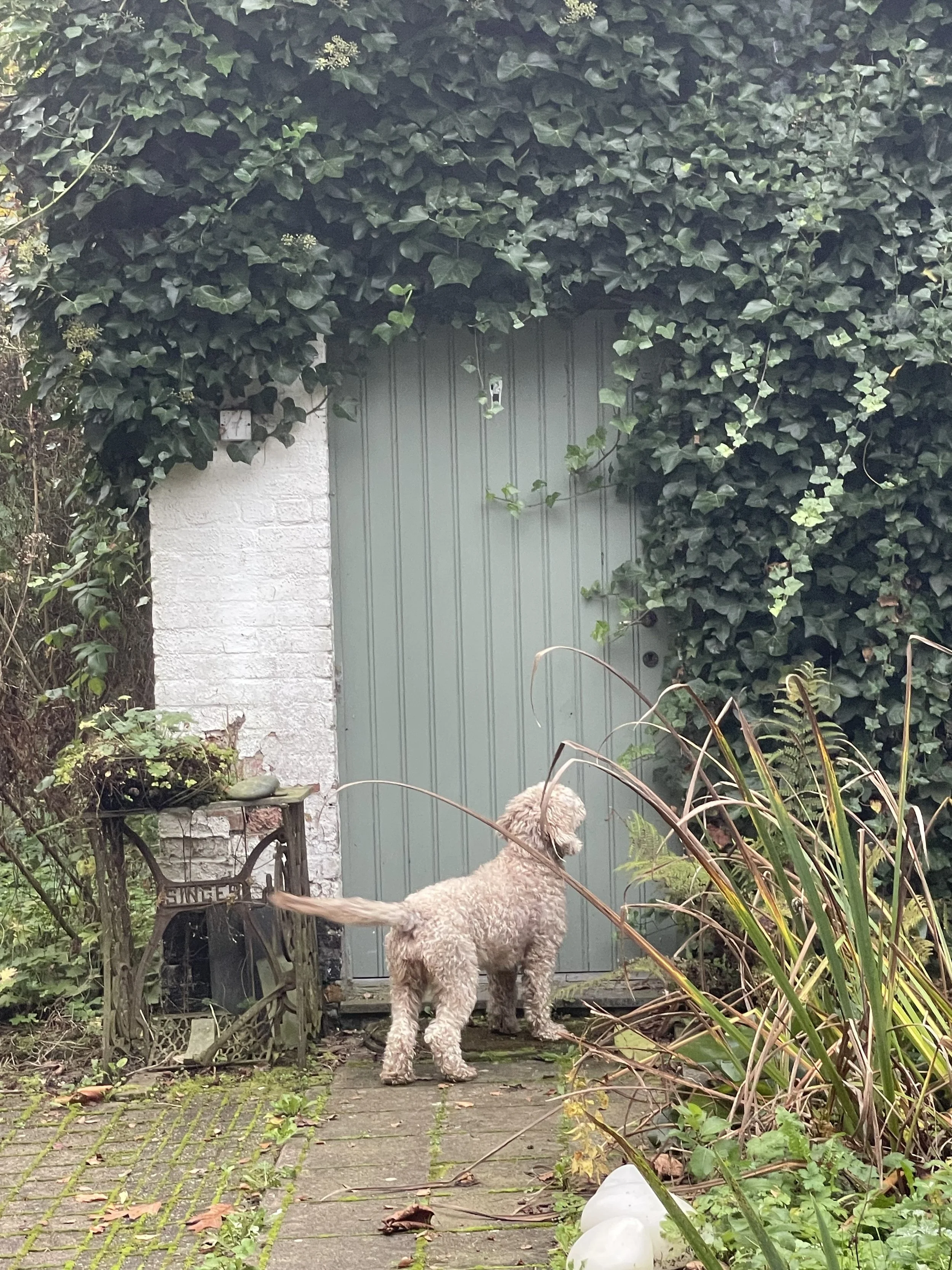 Nee én Ja zeggen.  Verbeter je grenzen.