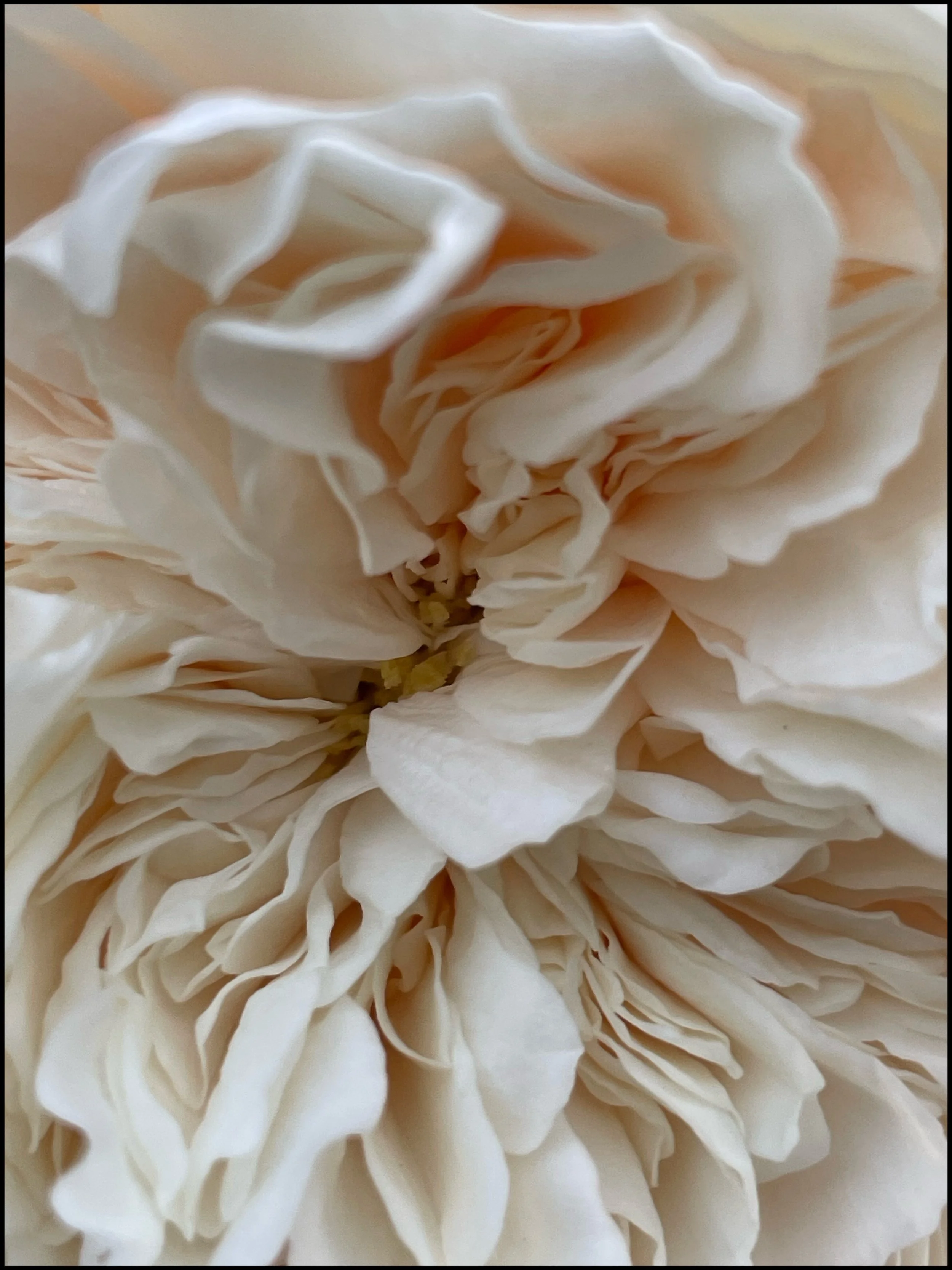 1-daagse Workshop met Katrien en Koen: Intimiteit en Seksualiteit