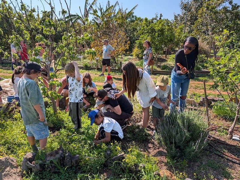 Fruit growing workshop for homeschooled kids