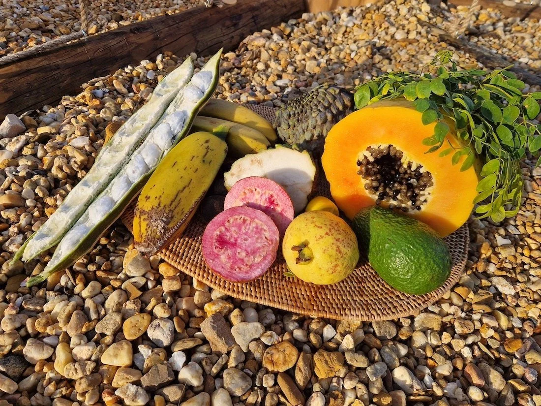 Collection of harvested fruit at the Orchard, in Algarve, in mid-January!
