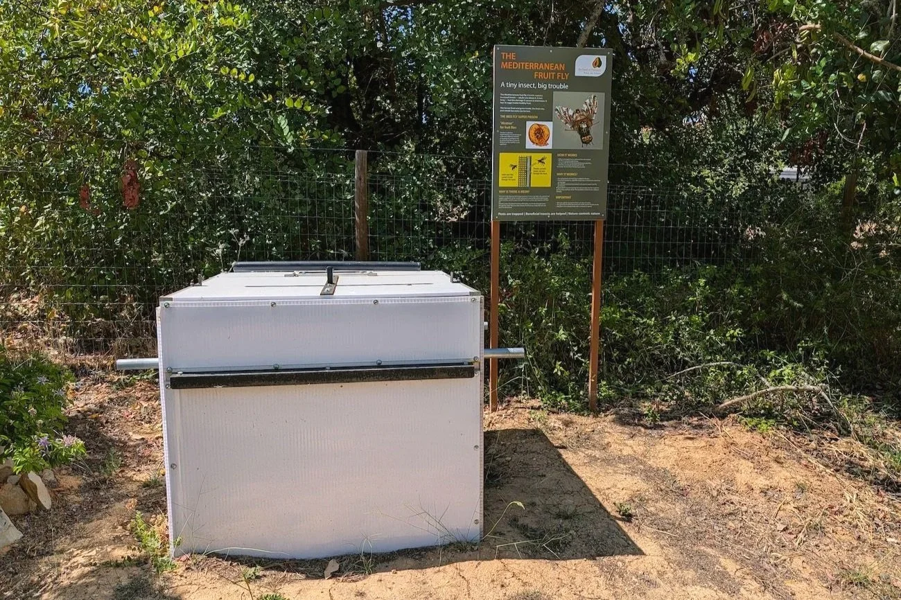 Our own augmentorium, at the Orchard of Flavours botanical garden, in Tavira