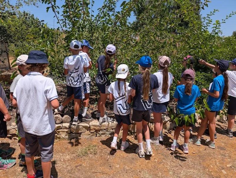 Fruit treasure hunt with kids